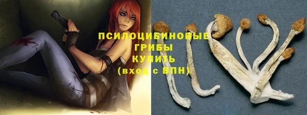 соль ск Навашино