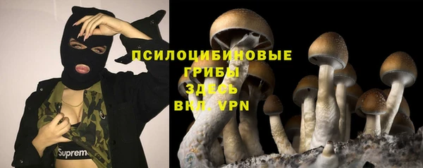 соль ск Навашино