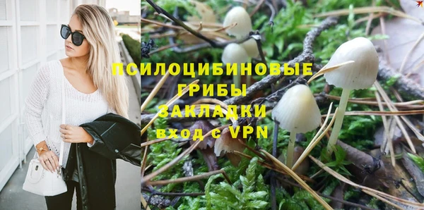 бошки Надым