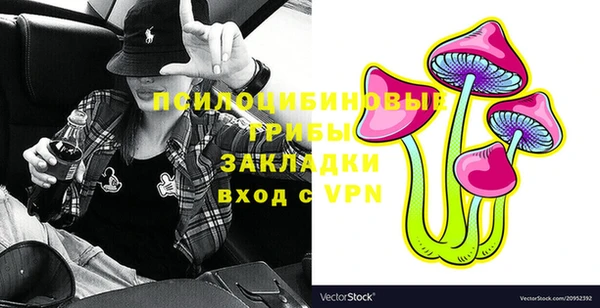 бошки Надым