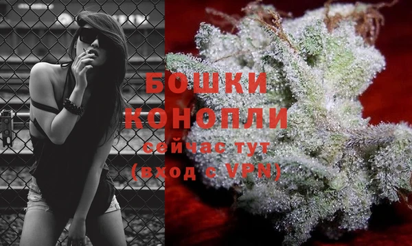 гидра Наволоки