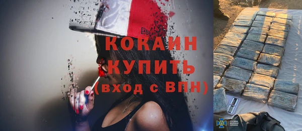 твердый Михайловск