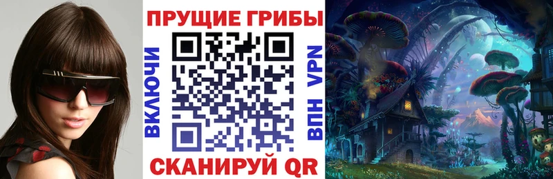 блэк спрут ссылка  Слюдянка  Галлюциногенные грибы Cubensis  закладки 